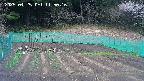 kannonmori-20250425115017.jpg