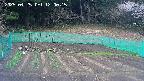 kannonmori-20250425120016.jpg