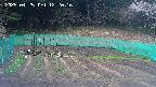 kannonmori-20250425122017.jpg
