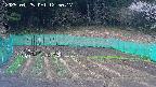 kannonmori-20250425125018.jpg
