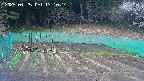kannonmori-20250425131015.jpg