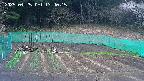 kannonmori-20250425134017.jpg