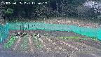 kannonmori-20250425135015.jpg