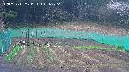 kannonmori-20250425143018.jpg