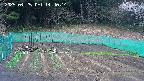 kannonmori-20250425144015.jpg