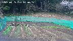 kannonmori-20250425145016.jpg