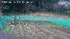 kannonmori-20250425150017.jpg