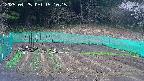 kannonmori-20250425151017.jpg