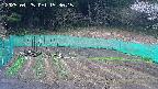 kannonmori-20250425153016.jpg