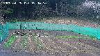 kannonmori-20250425154017.jpg