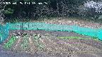 kannonmori-20250425155016.jpg