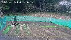 kannonmori-20250425160016.jpg