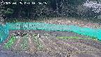 kannonmori-20250425162016.jpg