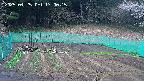 kannonmori-20250425170016.jpg
