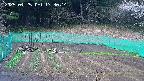 kannonmori-20250425173015.jpg