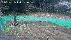 kannonmori-20250425175017.jpg