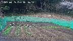 kannonmori-20250425182020.jpg