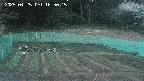 kannonmori-20250425185017.jpg