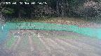 kannonmori-20250428051016.jpg