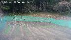 kannonmori-20250428052017.jpg