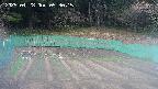 kannonmori-20250428053015.jpg