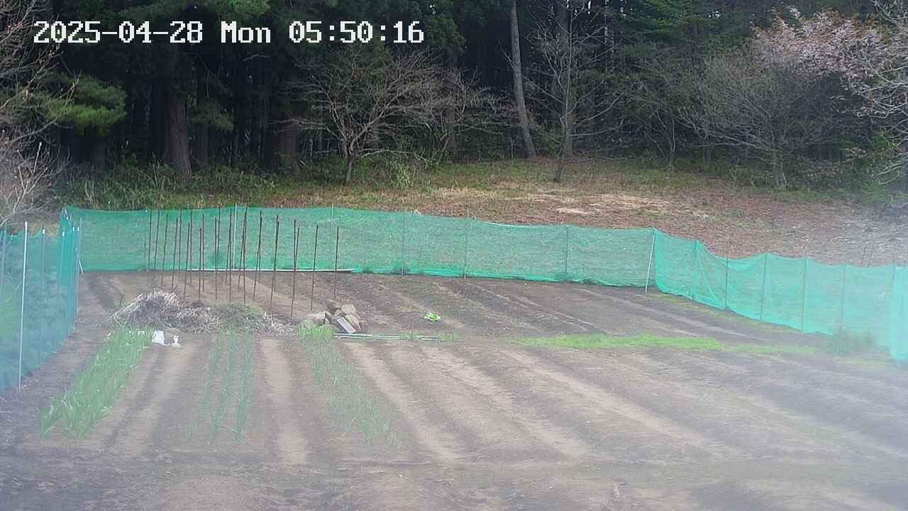 kannonmori-20250428055017.jpg