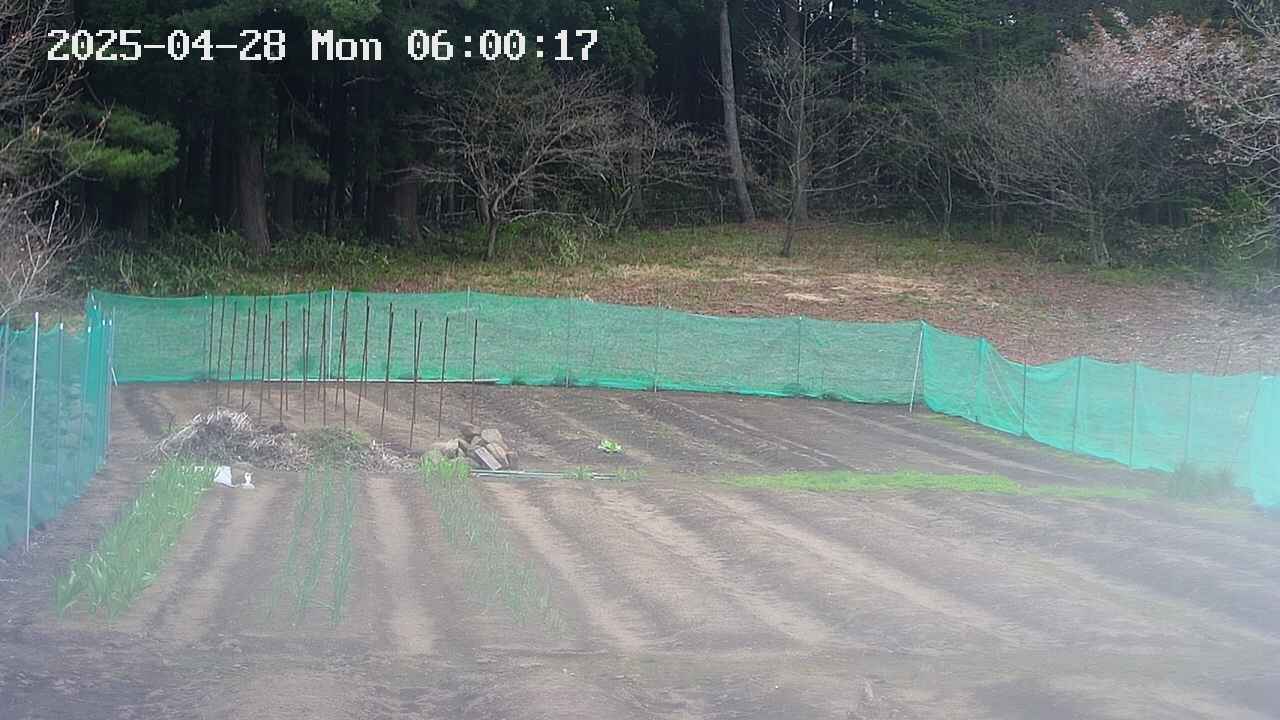 kannonmori-20250428060018.jpg