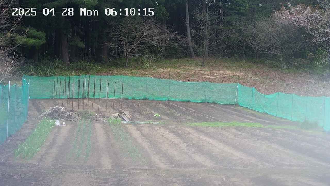 kannonmori-20250428061015.jpg