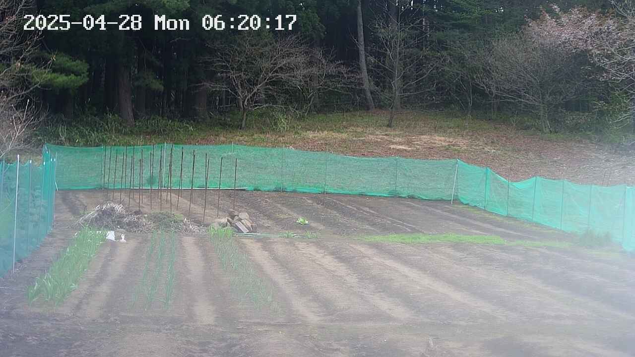 kannonmori-20250428062018.jpg