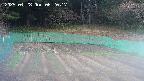 kannonmori-20250428062018.jpg