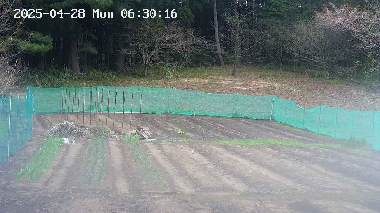 kannonmori-20250428063016.jpg