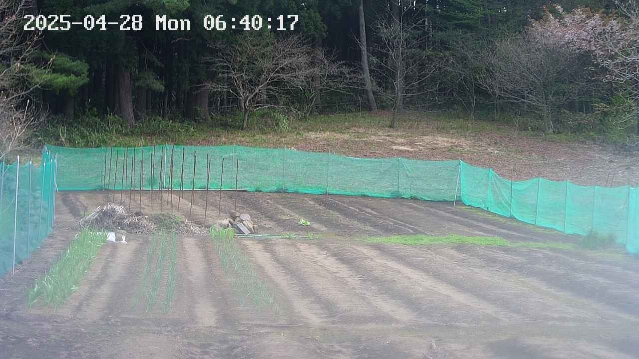 kannonmori-20250428064018.jpg