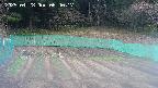 kannonmori-20250428064018.jpg
