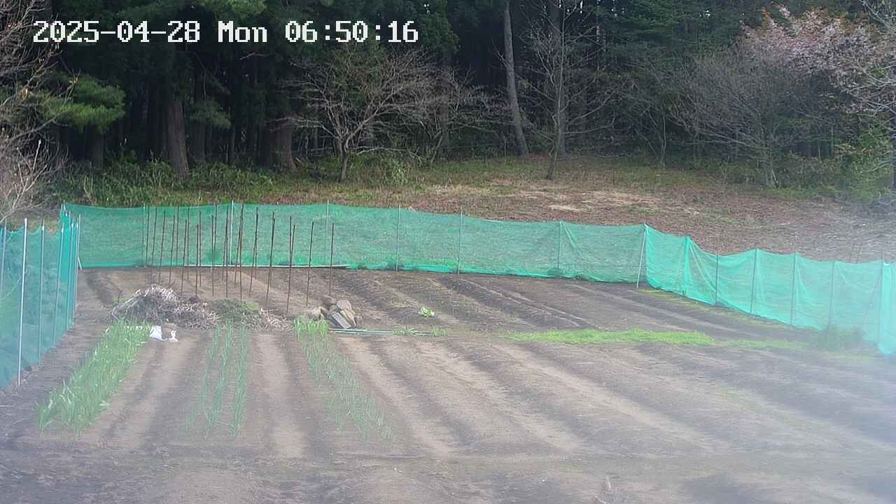 kannonmori-20250428065016.jpg