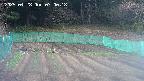 kannonmori-20250428070018.jpg