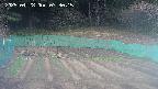 kannonmori-20250428073016.jpg