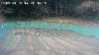 kannonmori-20250428100020.jpg