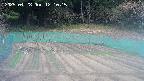 kannonmori-20250428121016.jpg