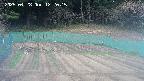 kannonmori-20250428122016.jpg