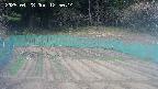 kannonmori-20250428125016.jpg