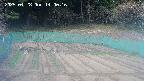 kannonmori-20250428140017.jpg