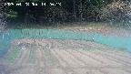 kannonmori-20250428142014.jpg