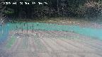 kannonmori-20250428150016.jpg