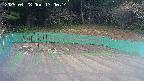 kannonmori-20250428170015.jpg