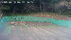 kannonmori-20250428172016.jpg