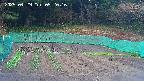 kannonmori-20250429052017.jpg