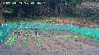 kannonmori-20250429053016.jpg