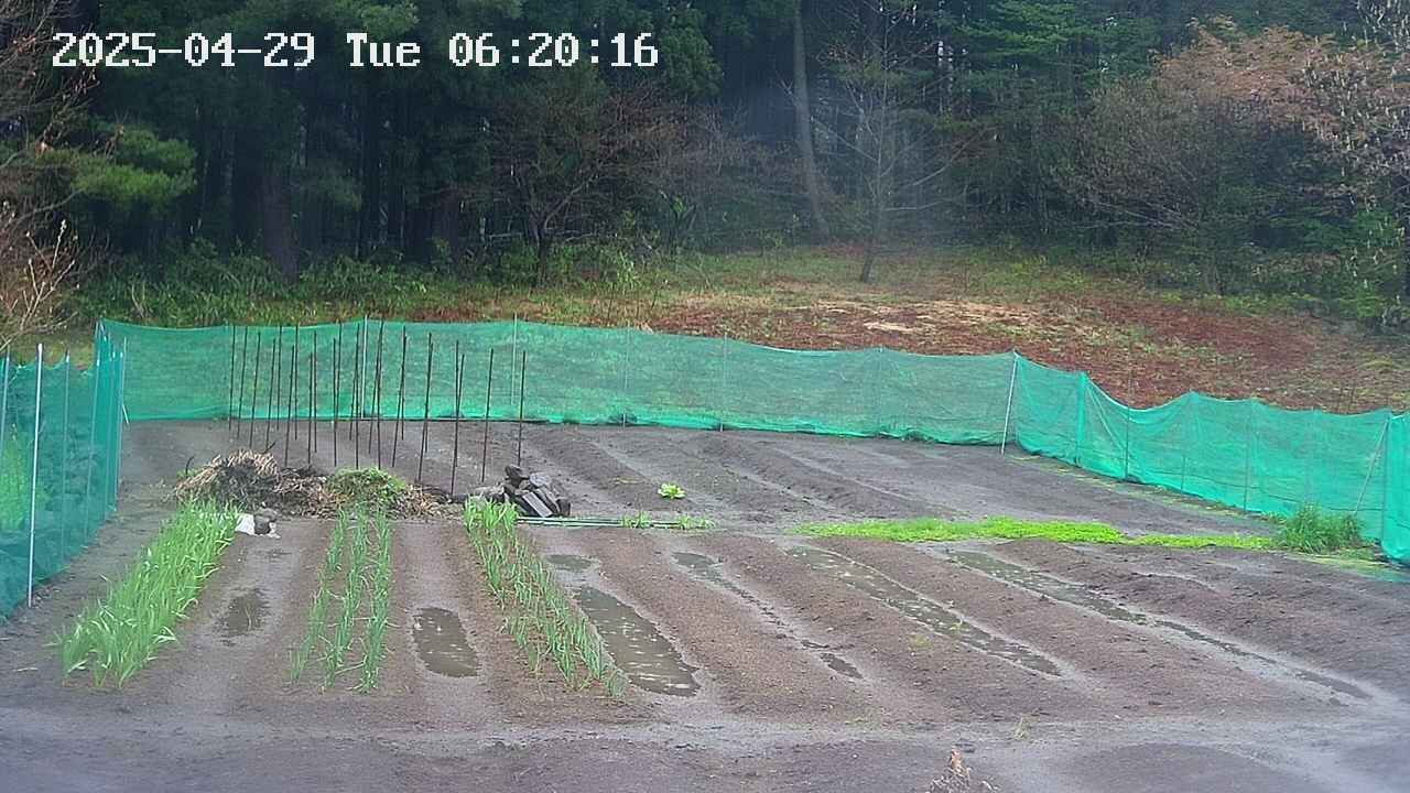 kannonmori-20250429062017.jpg