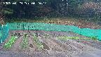 kannonmori-20250429082015.jpg