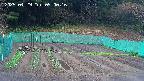kannonmori-20250429090017.jpg